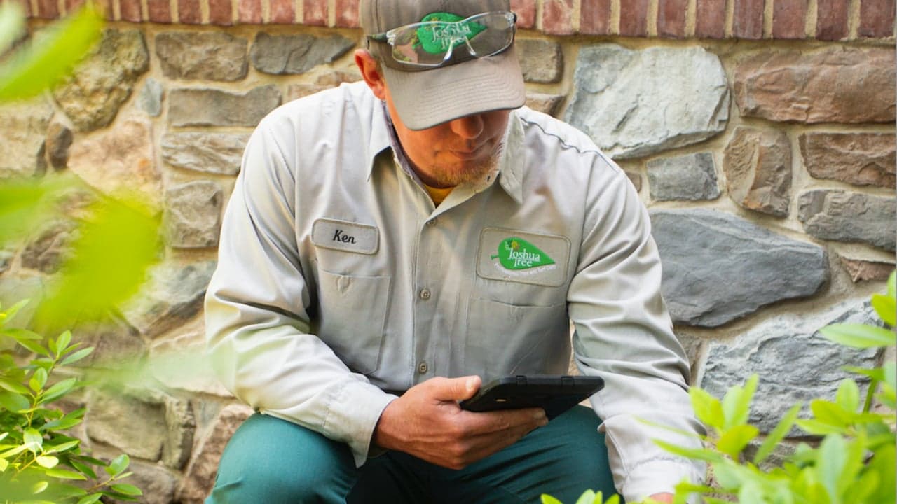 Joshua Tree Experts’ Unrivaled Technology Support for Franchisees: A Cutting-Edge Approach to Home-Service Business Joshua Tree Experts’ Unrivaled Technology Support for Franchisees: A Cutting-Edge Approach to Home-Service Business