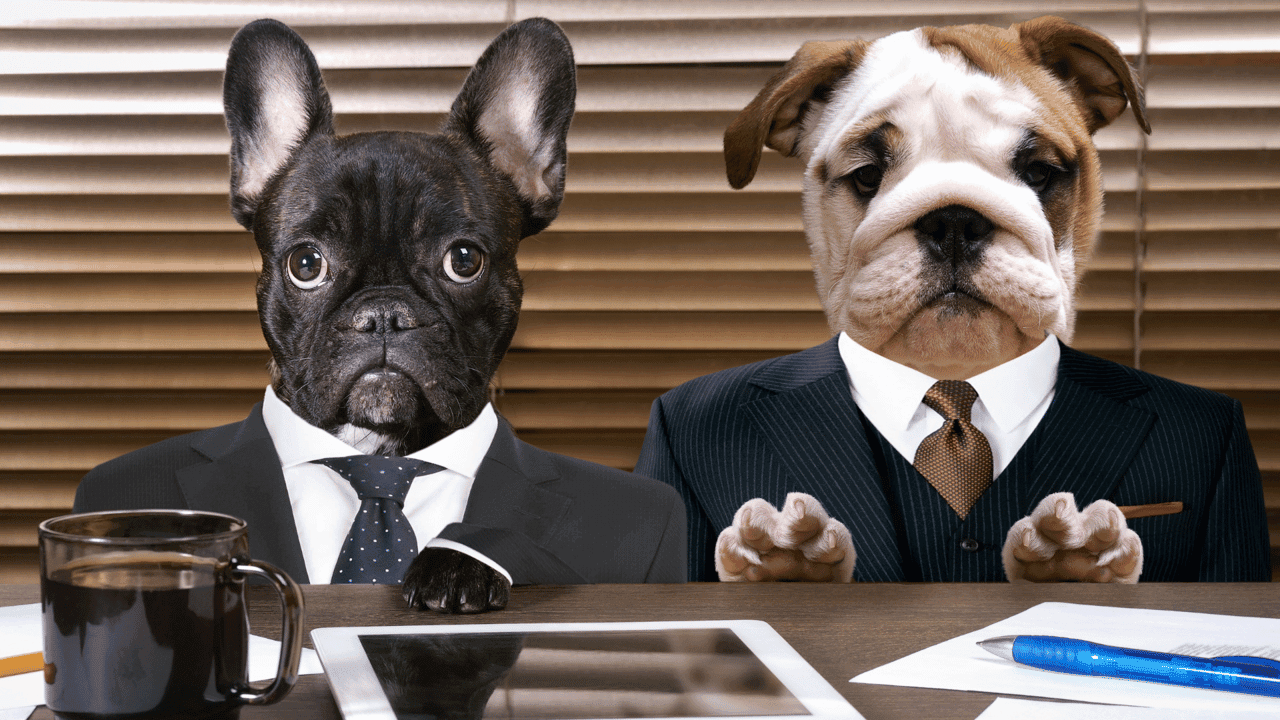 As The Dog Enthusiasm Continues To Grow In 2024, Dog Franchises Are Exploding As The Dog Enthusiasm Continues To Grow In 2024, Dog Franchises Are Exploding
