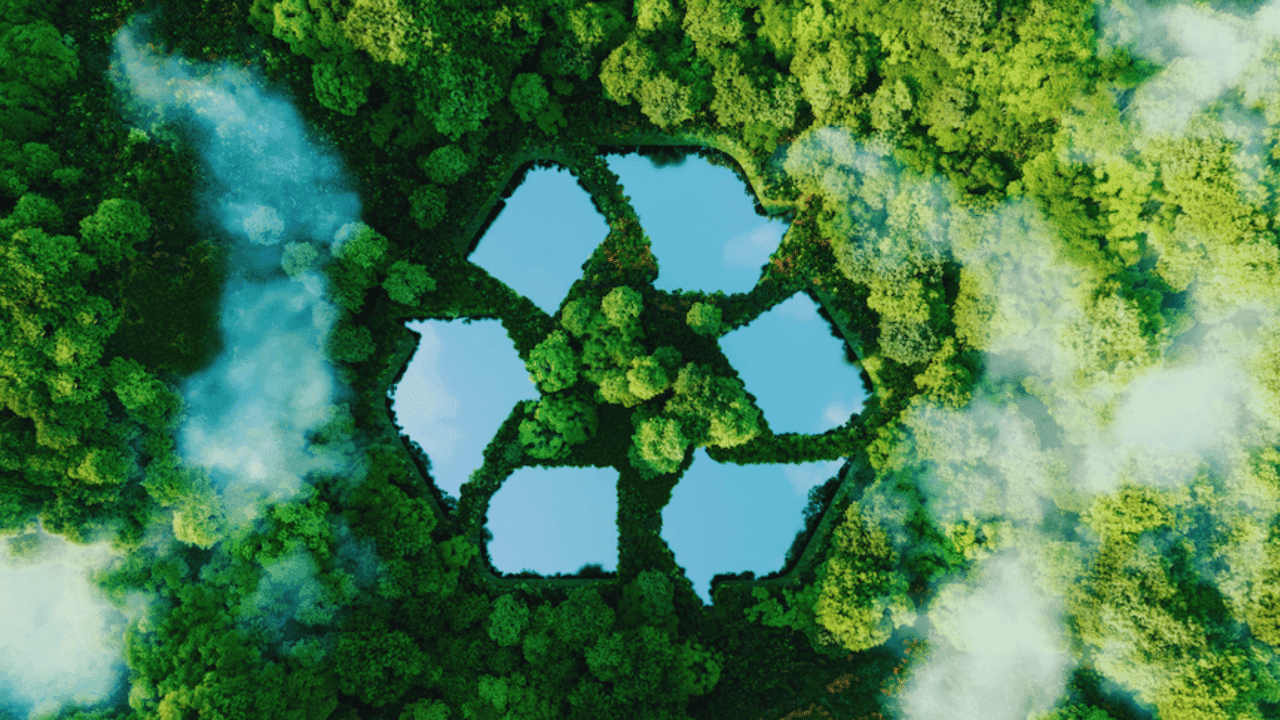 The Rise of Green and Sustainable Business Models in Franchising The Rise of Green and Sustainable Business Models in Franchising