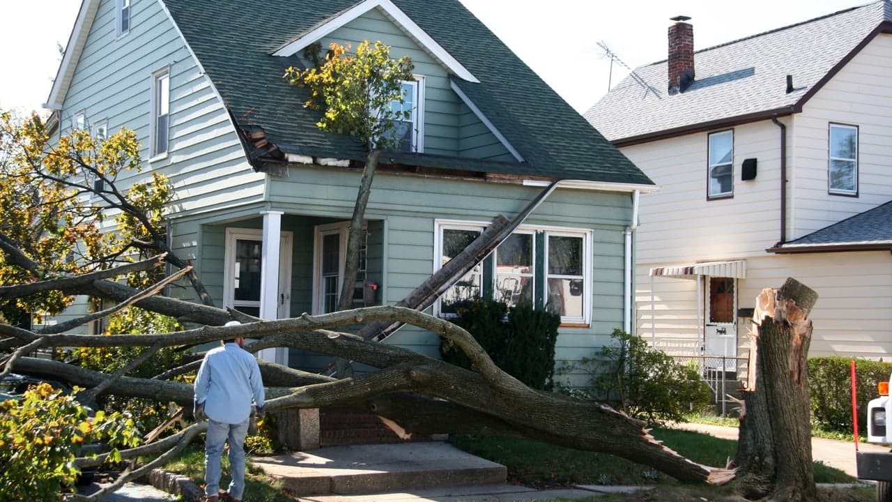 Top 20 Restoration and Disaster Recovery Franchises for 2025 Top 20 Restoration and Disaster Recovery Franchises for 2025