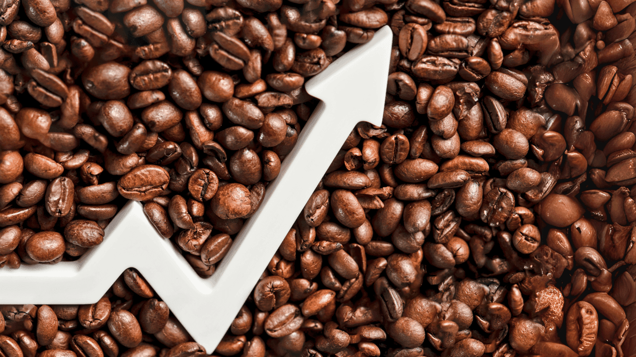 Why Coffee Franchises Continue To Thrive: What Entrepreneurs Need To Know in 2025 Why Coffee Franchises Continue To Thrive: What Entrepreneurs Need To Know in 2025