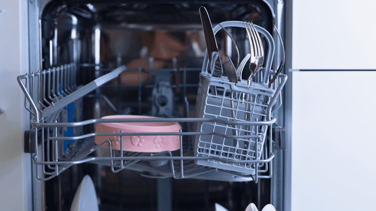 How undefined Evolved and Set New Standards Pet Wants Shares Expert Tips on Cleaning Pet Gear Safely in the Dishwasher