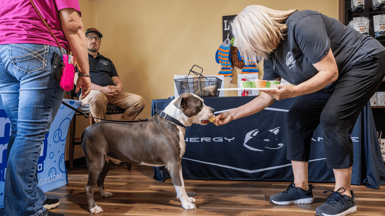 How undefined Evolved and Set New Standards The Power of Personalization: How Custom Nutrition Plans Drive Business Success at Pet Wants