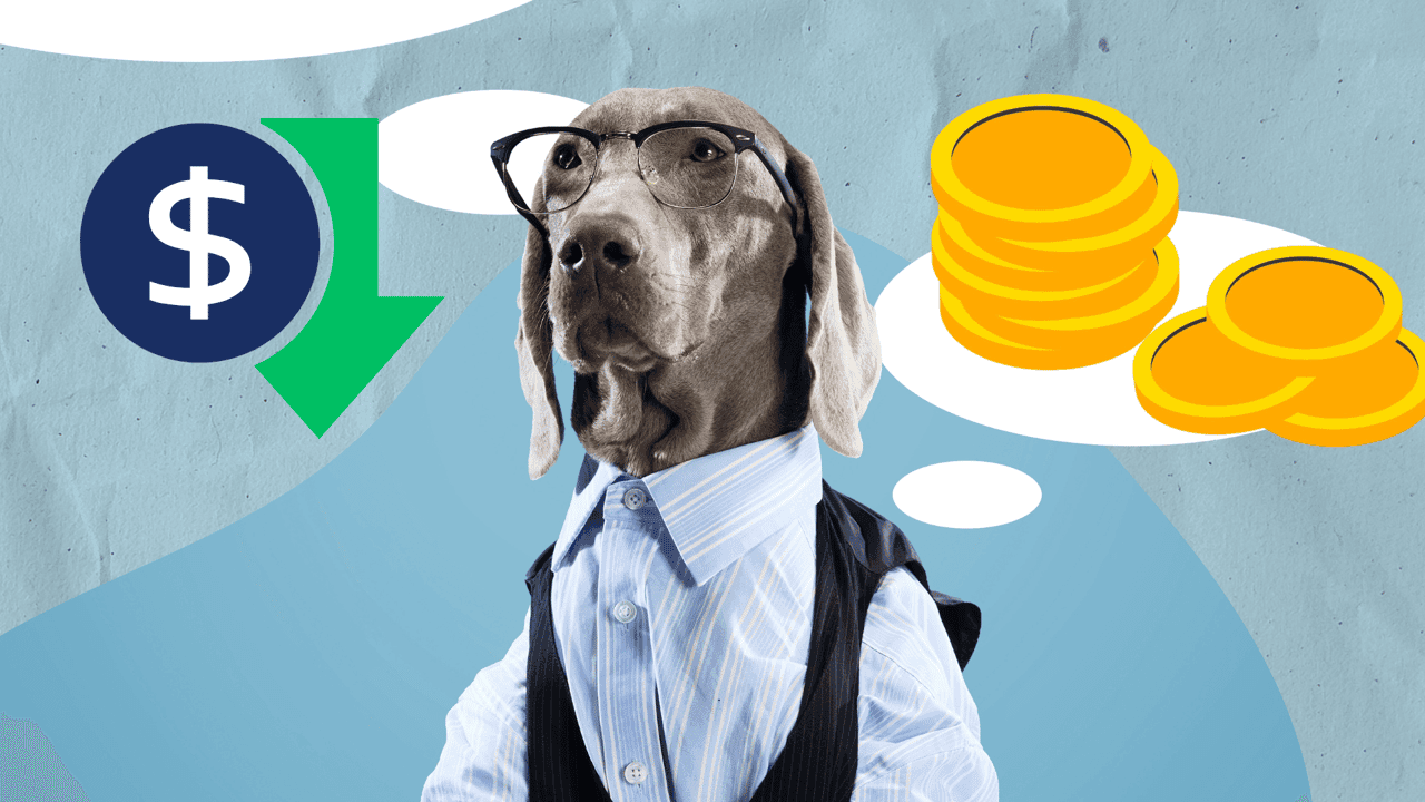 Top 15 Low-Cost Pet Franchise Opportunities for 2026 Top 15 Low-Cost Pet Franchise Opportunities for 2026