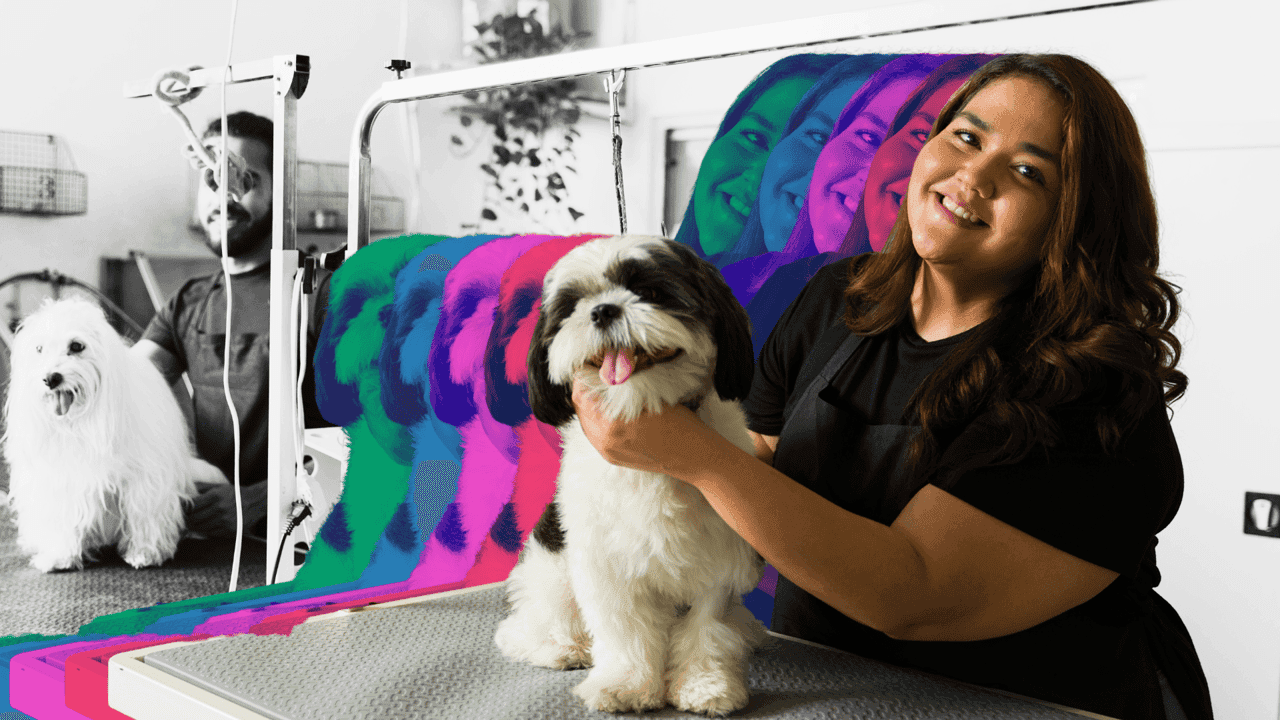 How undefined Evolved and Set New Standards The Top 15 Boutique-Style Pet Franchises To Consider for 2026