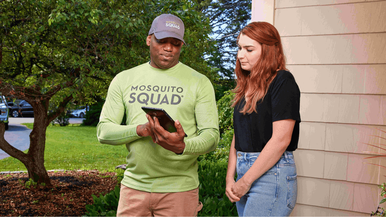 How Mosquito Squad Plus Evolved and Set New Standards Mosquito Squad Plus - Google Mosquito Test - 1851 Franchise