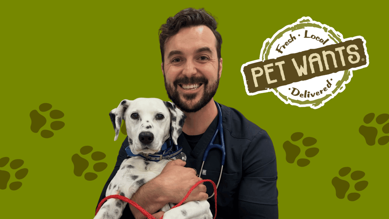 Why Vets Are Choosing Pet Wants Franchise Ownership