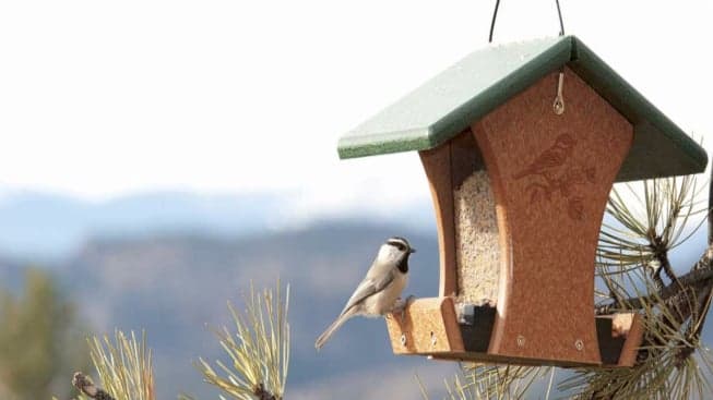 Wild Birds Unlimited Franchisees to Know: Kevin and Jen Lair Wild Birds Unlimited Franchisees to Know: Kevin and Jen Lair