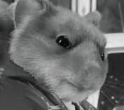 Five Commercials we LOVE to HATE Five Commercials we LOVE to HATE