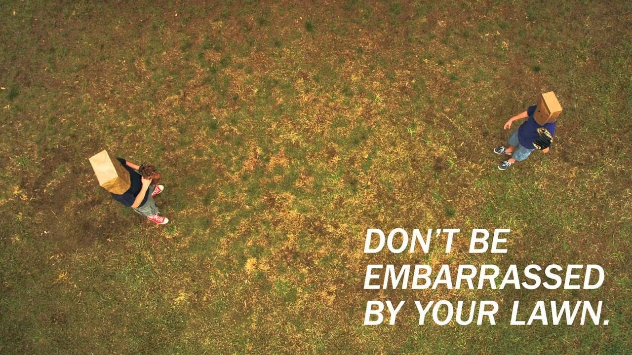 AdWeek: Lawn Doctor Debuts Quirky New Ads In Time for Busy Summer Season AdWeek: Lawn Doctor Debuts Quirky New Ads In Time for Busy Summer Season