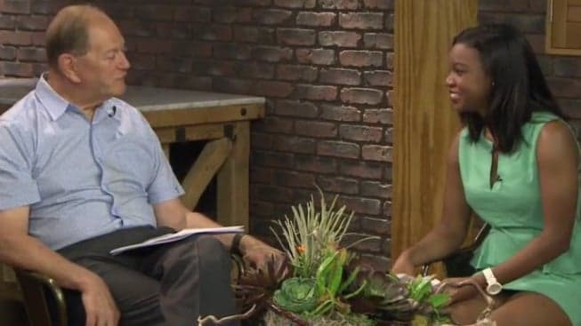 THV11- Little Rock, AR: How To Keep Seniors Safe During Summer Months THV11- Little Rock, AR: How To Keep Seniors Safe During Summer Months