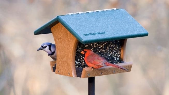 For Brands Like Wild Birds Unlimited, Franchise Business Review is Instrumental in Future Development For Brands Like Wild Birds Unlimited, Franchise Business Review is Instrumental in Future Development