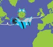 How Qmee ensured it would translate How Qmee ensured it would translate