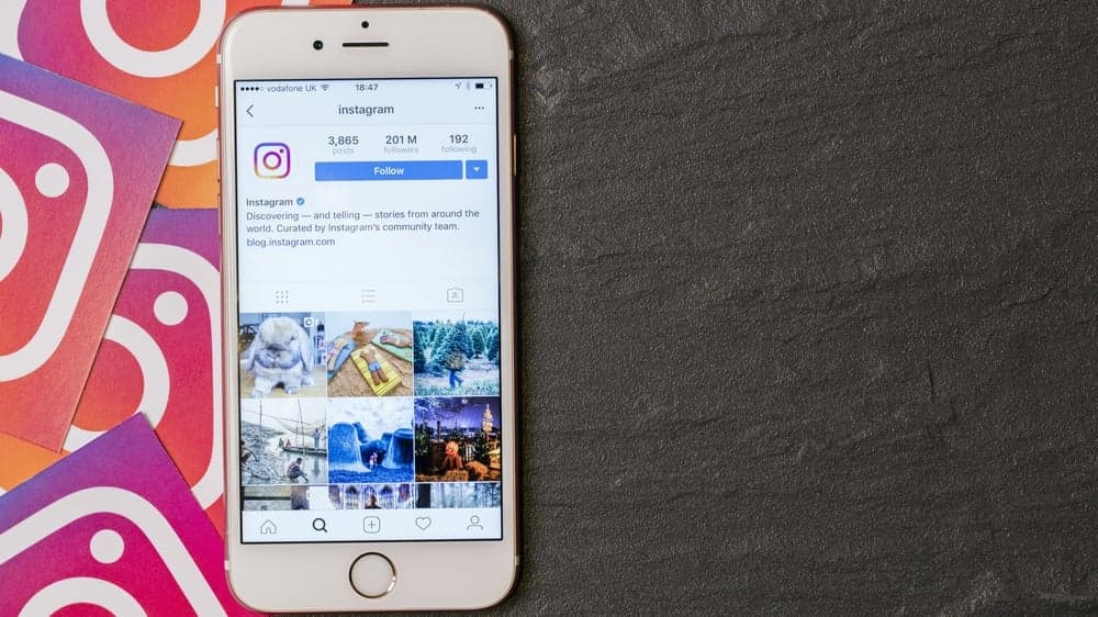 CNBC: Paid Media Spend on Social Up By 65 Percent, Instagram Leads Growth: Report CNBC: Paid Media Spend on Social Up By 65 Percent, Instagram Leads Growth: Report