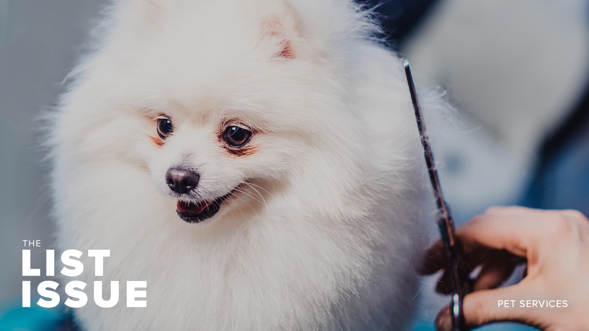 10 Pet Services Franchises To Watch in 2020 10 Pet Services Franchises To Watch in 2020