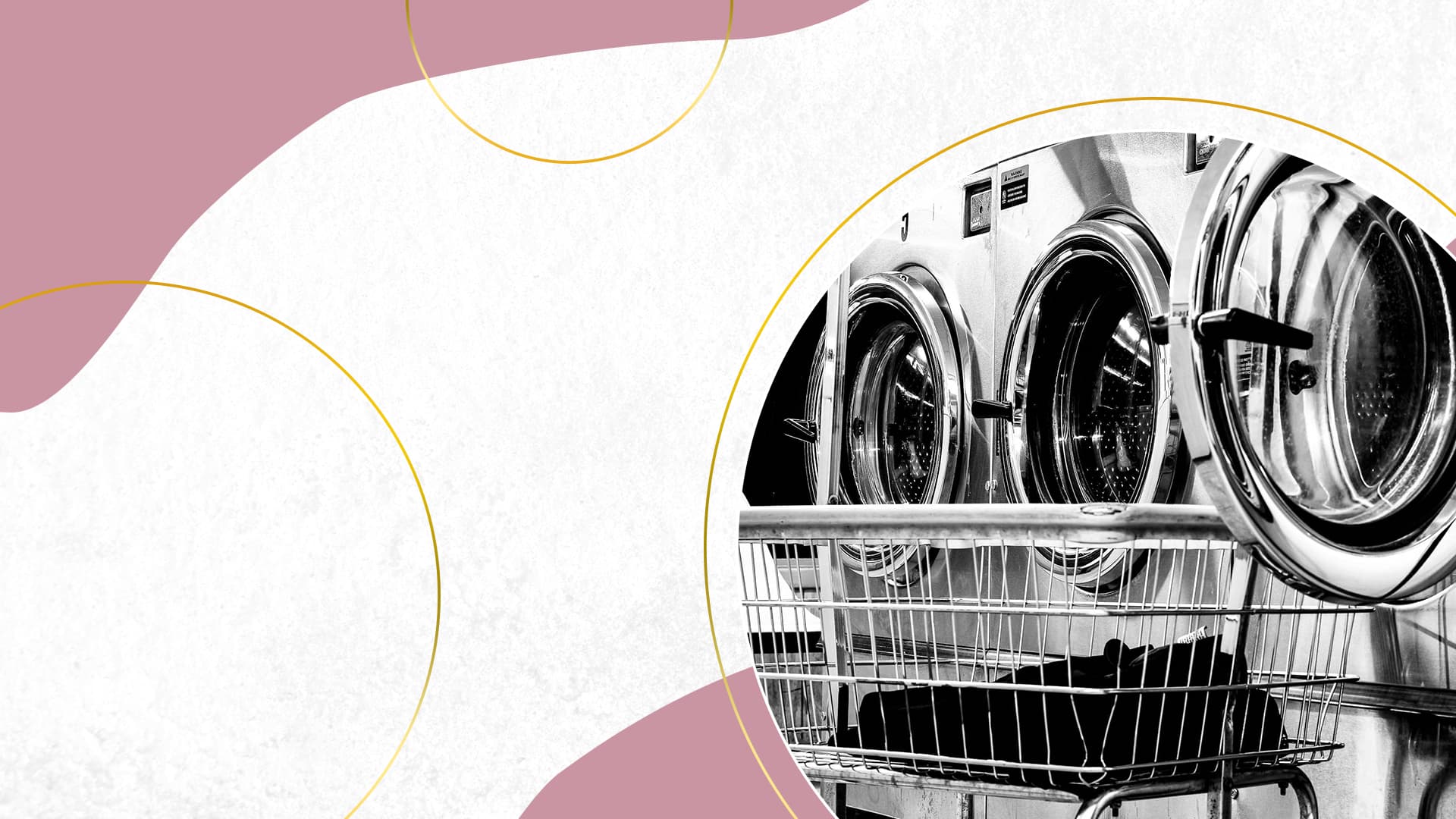 Best Laundry Franchises to Buy in 2021 Best Laundry Franchises to Buy in 2021