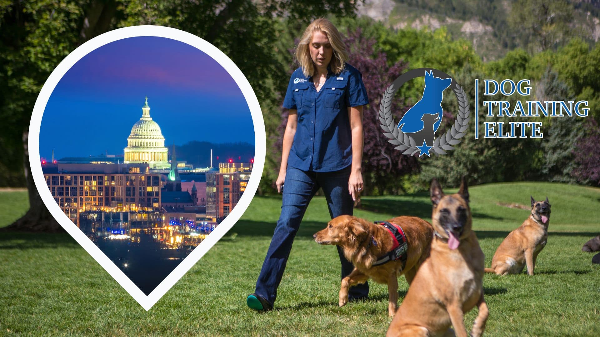 Why the D.C. Metro Area Is the Perfect Location to Open a Dog Training Elite Franchise Why the D.C. Metro Area Is the Perfect Location to Open a Dog Training Elite Franchise