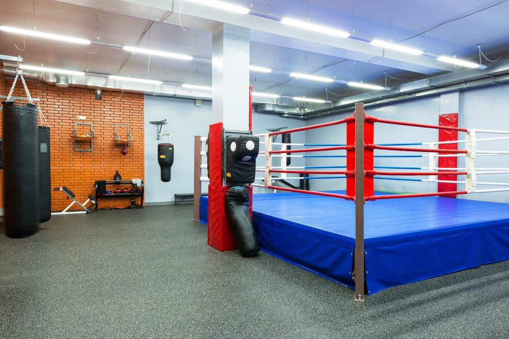 Mayweather Boxing + Fitness Looks to Grow With New Hires Mayweather Boxing + Fitness Looks to Grow With New Hires
