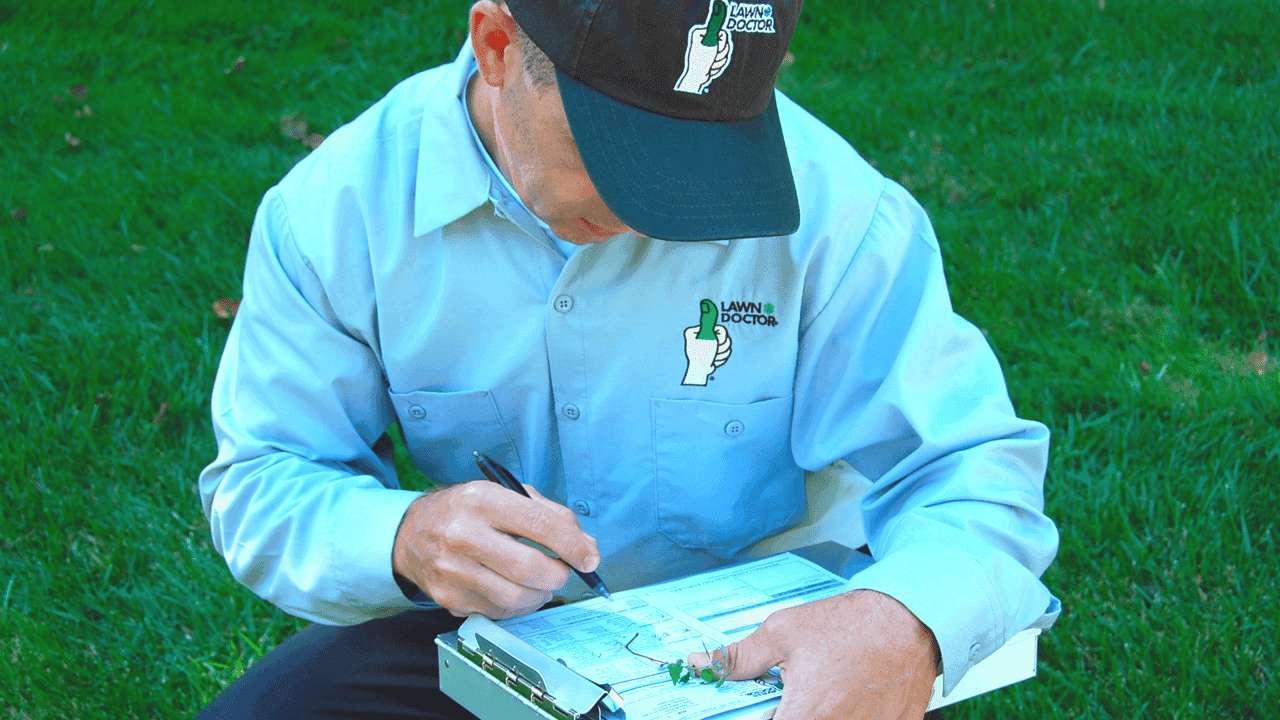 How undefined Evolved and Set New Standards How Lawn Doctor’s Mid-Season Rollout Program Ensures New Owners a Successful First Year