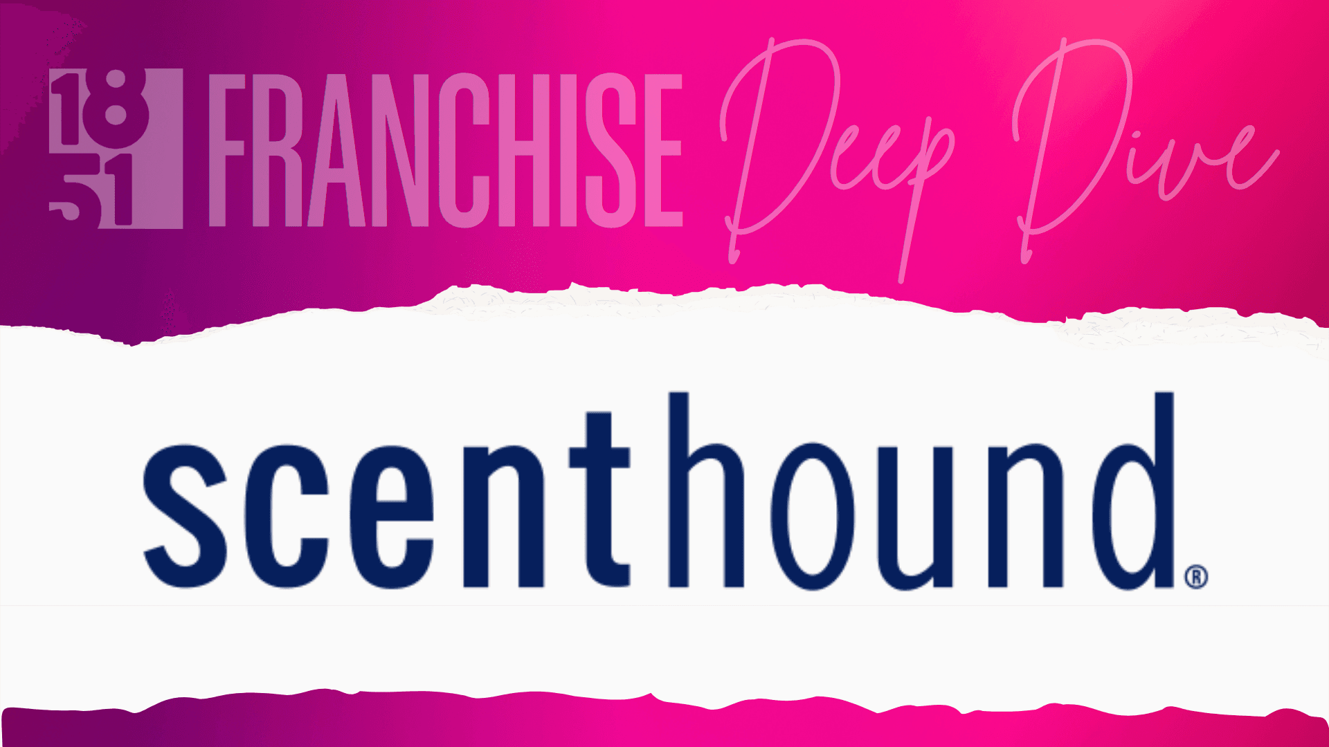 Scenthound Franchise Costs, Fees, Profit and Data for 2026